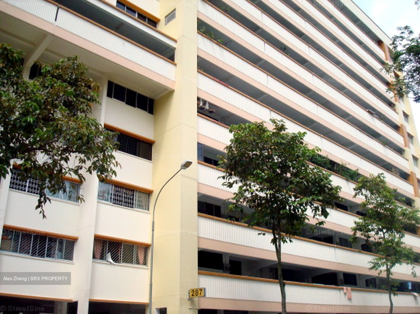 Blk 287 Ficus Vale (Yishun), HDB 3 Rooms #628772841